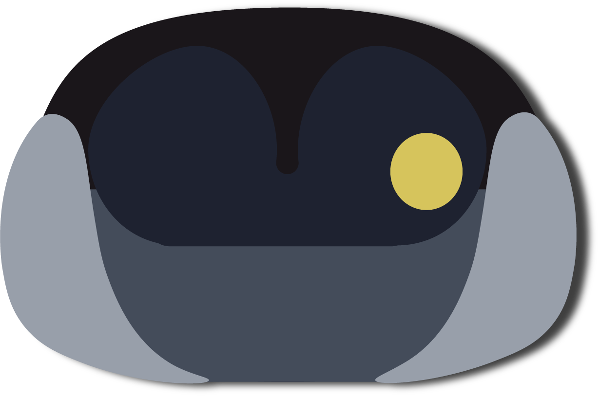 Schematic prostate with benign round transition-zone pattern