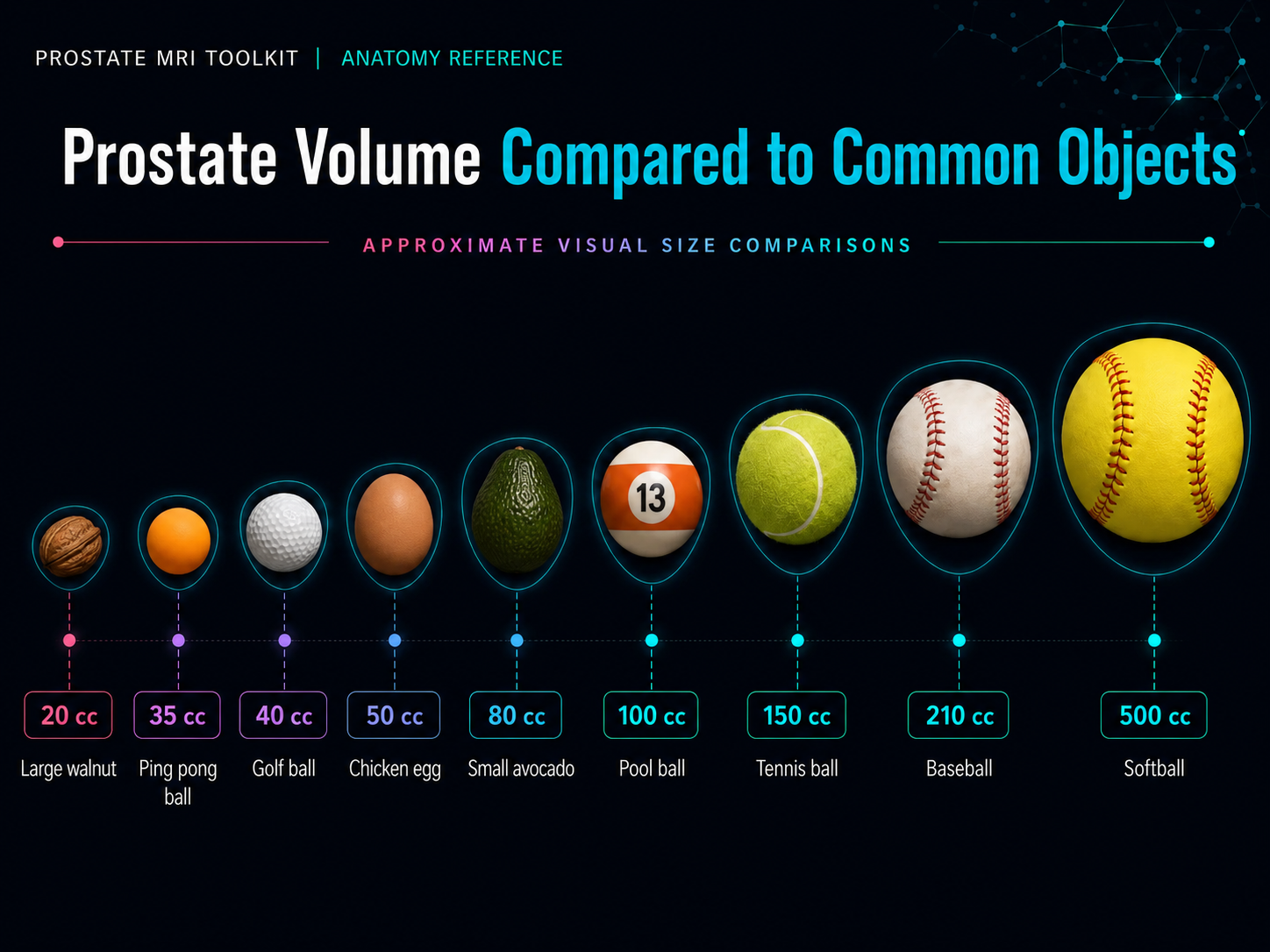Infographic comparing prostate volume in cubic centimeters to common objects including walnut, ping pong ball, golf ball, lime, orange, pool ball, tennis ball, baseball, and softball